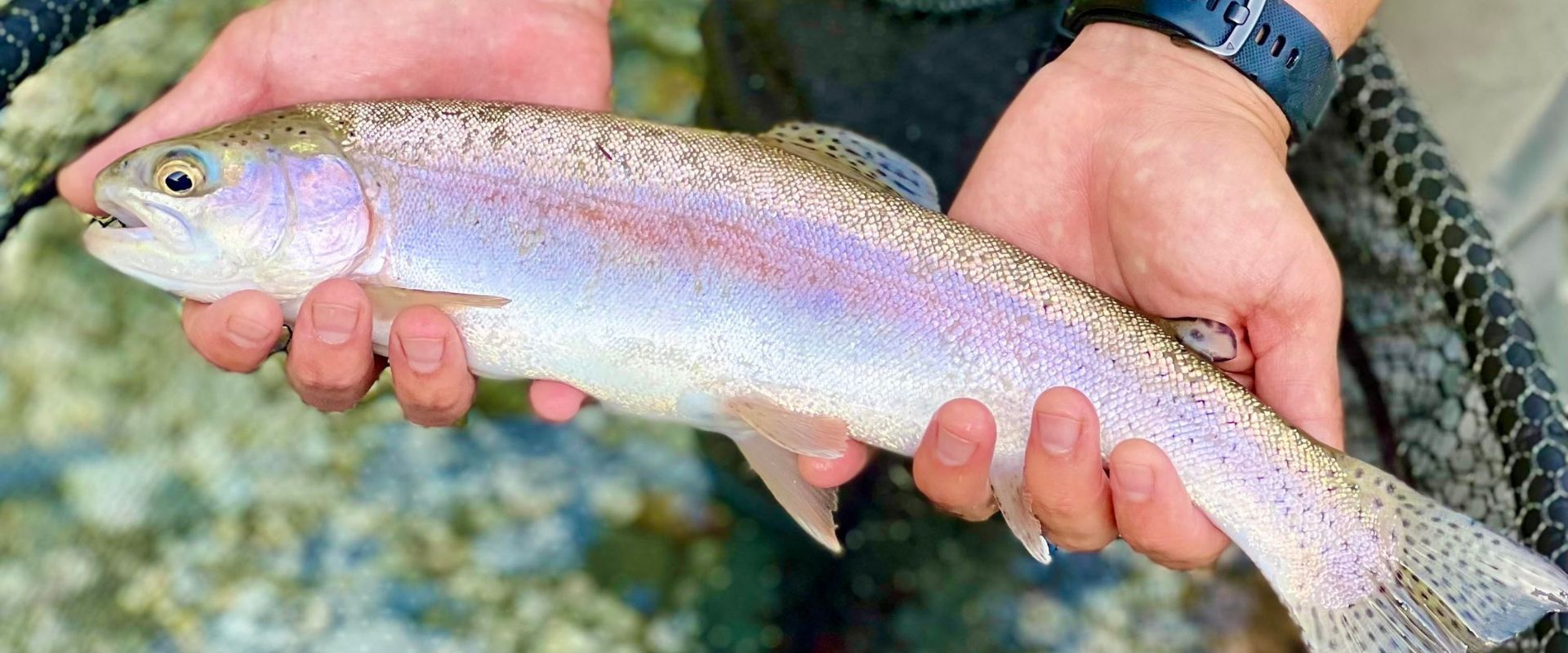 Conventional Fishing